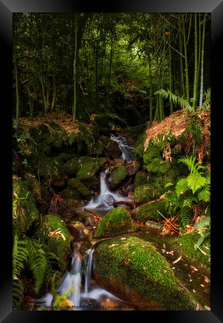 Enchanting Bamboo Waterfall in Galicia Framed Print by Jesus Martínez