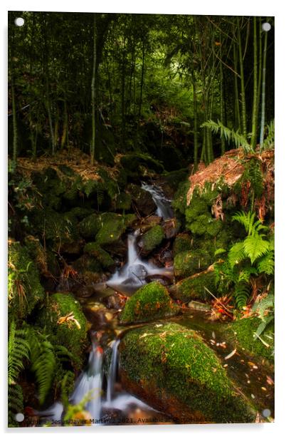 Enchanting Bamboo Waterfall in Galicia Acrylic by Jesus Martínez