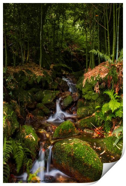 Enchanting Bamboo Waterfall in Galicia Print by Jesus Martínez