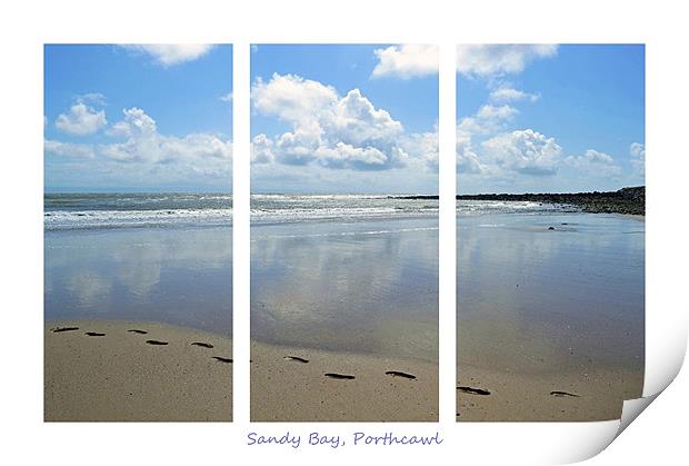 Sandy Bay Triptych Print by Donna Collett