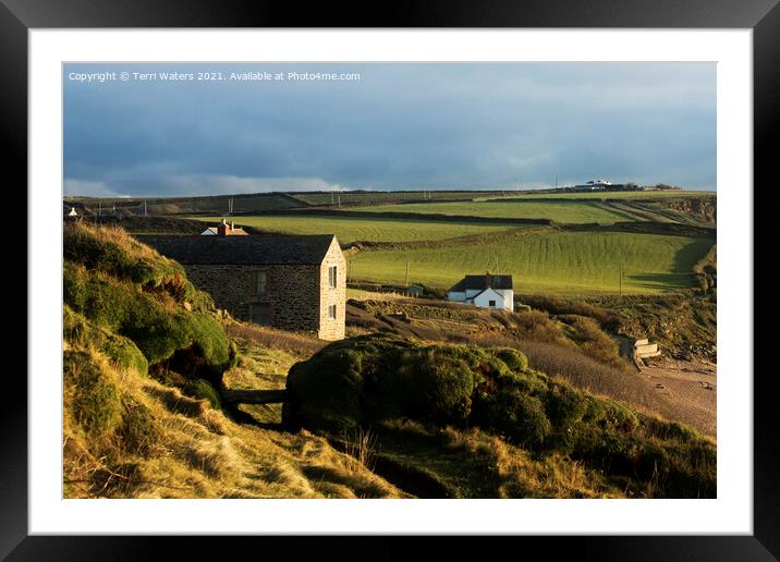 Cornish Cottage Cornish Hedge Framed Mounted Print by Terri Waters