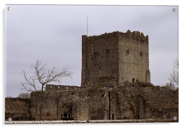 Portchester Castle's Timeless Grandeur Acrylic by Norbert David