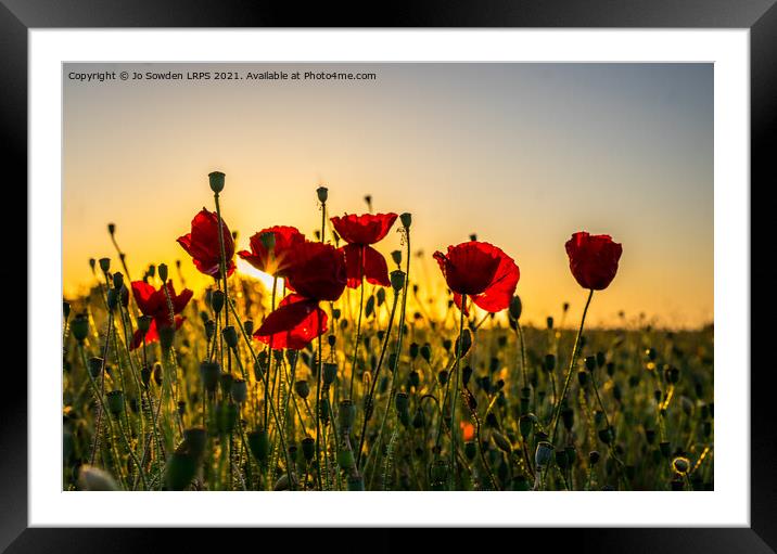 Poppies at Sunset Framed Mounted Print by Jo Sowden