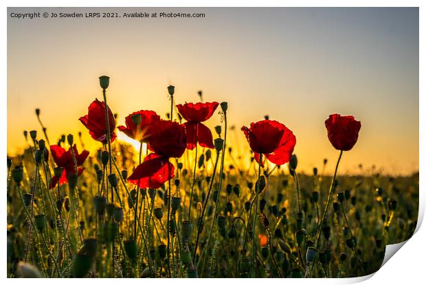 Poppies at Sunset Print by Jo Sowden