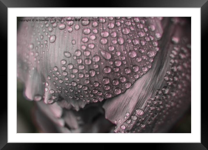 After the rain Framed Mounted Print by Jo Sowden