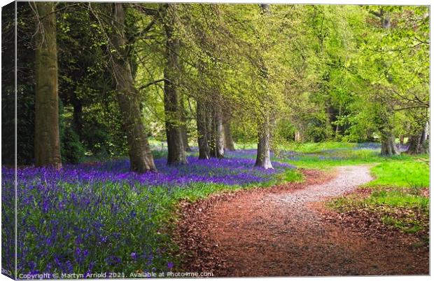 A Walk in the Spring Bluebell Wood Canvas Print by Martyn Arnold
