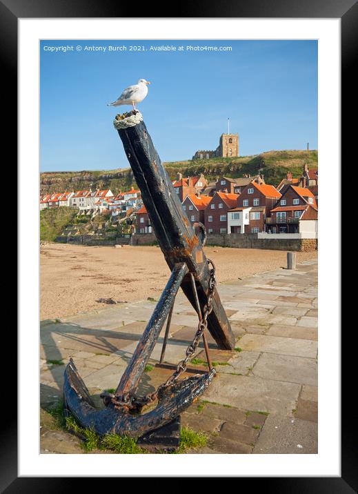 Whitby anchor and church Framed Mounted Print by Antony Burch