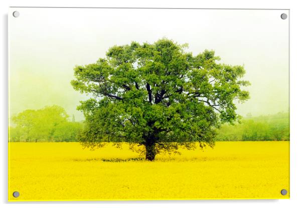 Tree in a Field of Gold Acrylic by Terri Waters