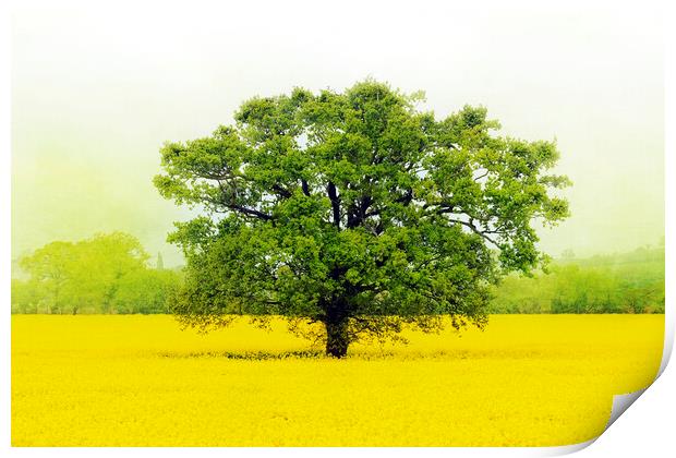 Tree in a Field of Gold Print by Terri Waters