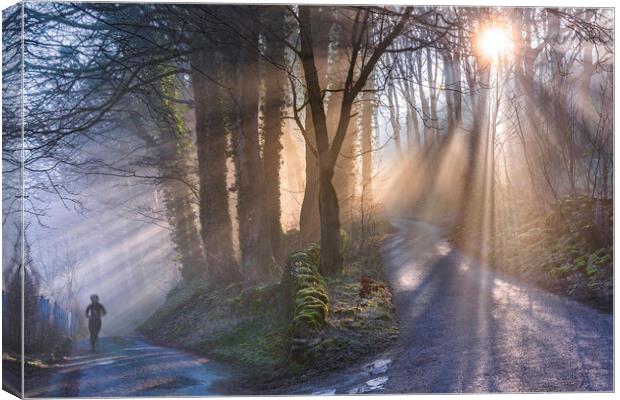 Woodland light rays Canvas Print by John Finney