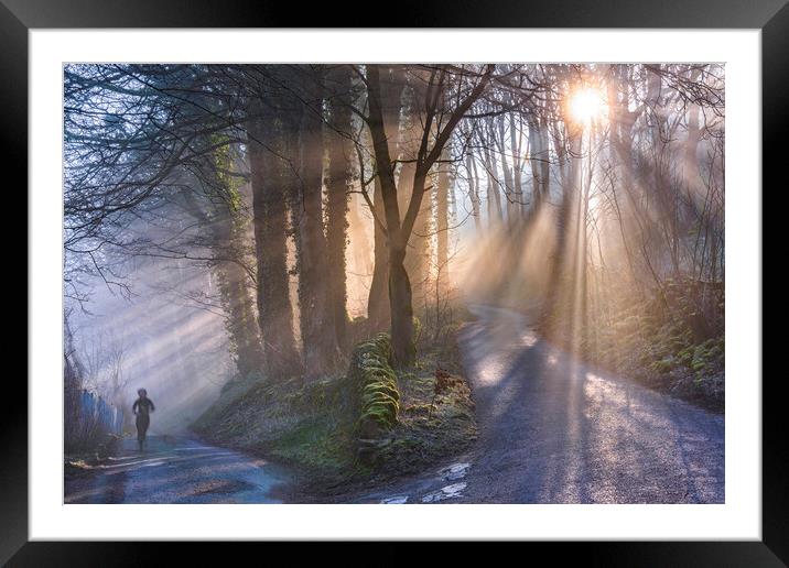 Woodland light rays Framed Mounted Print by John Finney