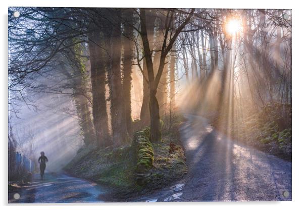 Woodland light rays Acrylic by John Finney