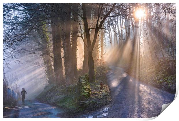 Woodland light rays Print by John Finney