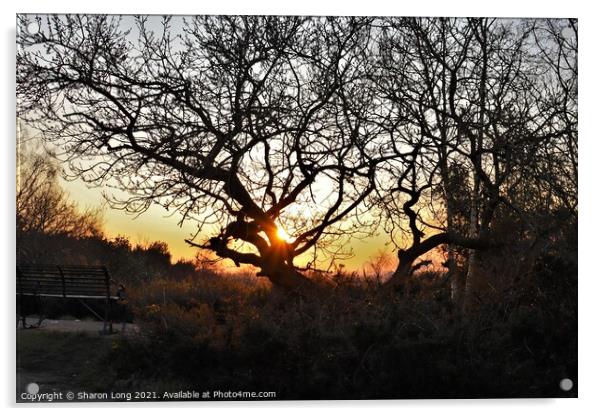 Sunset On Bidston Hill Acrylic by Photography by Sharon Long 