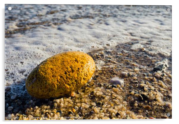 Rock on the beach Acrylic by Paul Richards