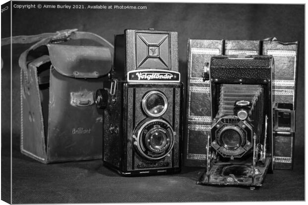 Two antique cameras  Canvas Print by Aimie Burley