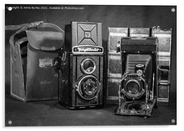 Two antique cameras  Acrylic by Aimie Burley