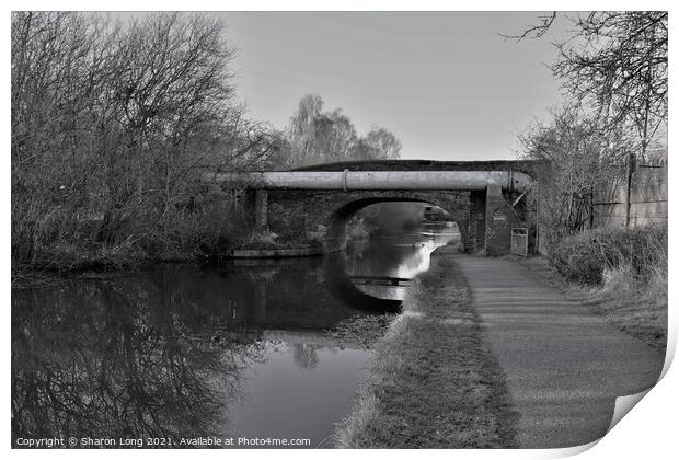 Walks along the Shropshire Union Canal Print by Photography by Sharon Long 