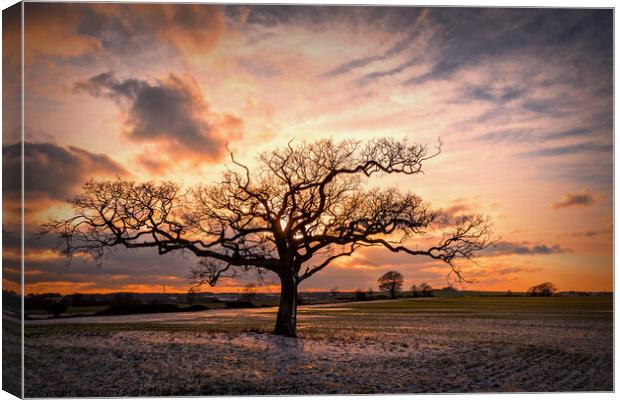 Splendid Winter Sunset Canvas Print by Jeremy Sage