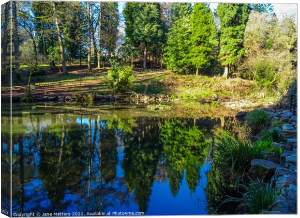 Reflections in the Pond Canvas Print by Jane Metters