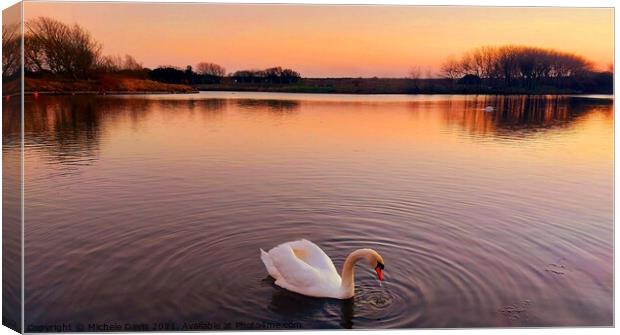 Lone Swan, Fairhaven Lake Canvas Print by Michele Davis