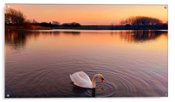 Lone Swan, Fairhaven Lake Acrylic by Michele Davis