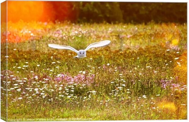 Majestic Barn Owl in its Natural Habitat Canvas Print by Simon Marlow