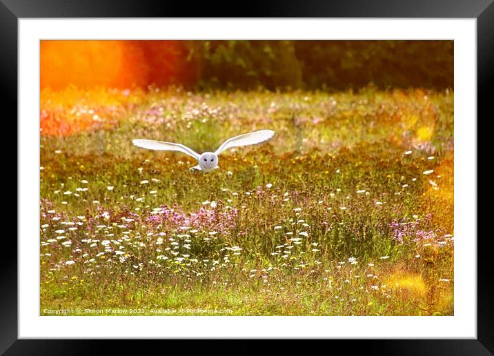Majestic Barn Owl in its Natural Habitat Framed Mounted Print by Simon Marlow