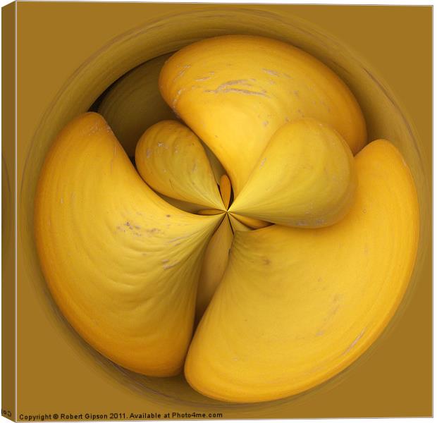 Spherical melons. Canvas Print by Robert Gipson