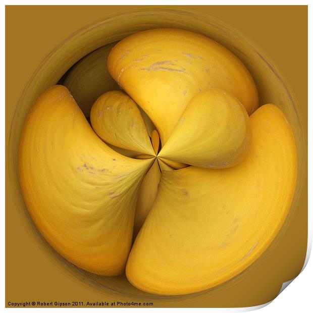 Spherical melons. Print by Robert Gipson