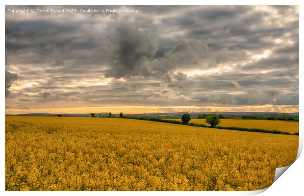 Field of Rapeseed #2 Print by Derek Daniel