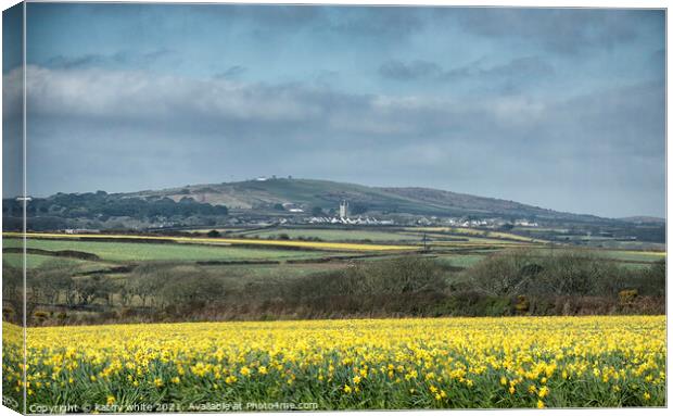 Springtime Daffodils Cornwall Canvas Print by kathy white