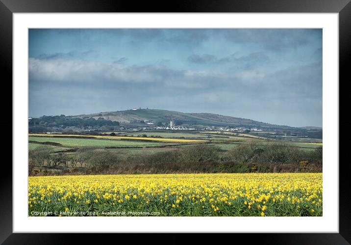 Springtime Daffodils Cornwall Framed Mounted Print by kathy white