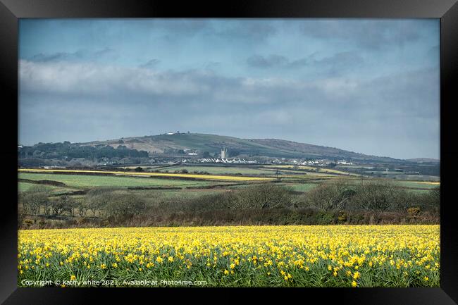 Springtime Daffodils Cornwall Framed Print by kathy white