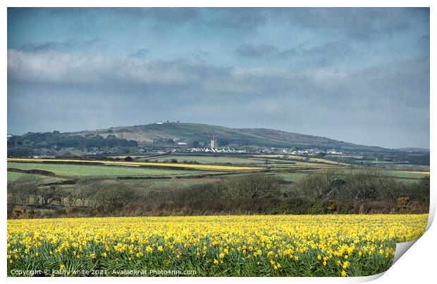 Springtime Daffodils Cornwall Print by kathy white