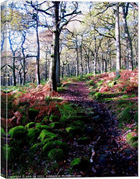 Woodland Footpath in Derbyshire. Canvas Print by john hill