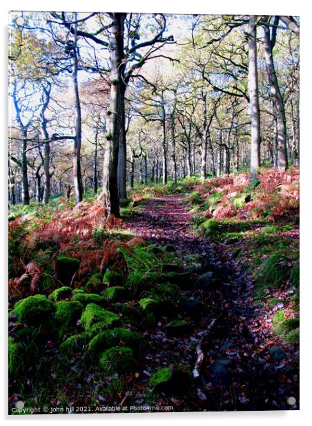 Woodland Footpath in Derbyshire. Acrylic by john hill