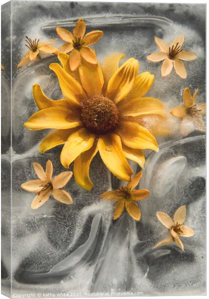 Frozen in Time, yellow flowers in ice Canvas Print by kathy white