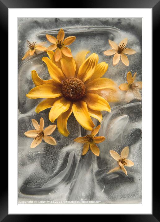 Frozen in Time, yellow flowers in ice Framed Mounted Print by kathy white