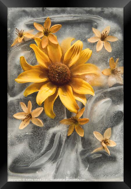 Frozen in Time, yellow flowers in ice Framed Print by kathy white