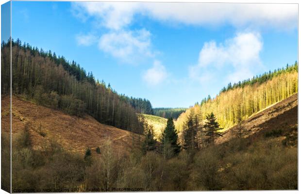 Forested Valley above Clydach Vale Rhondda South W Canvas Print by Nick Jenkins