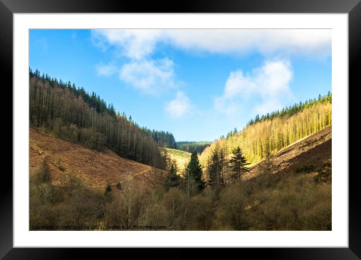 Forested Valley above Clydach Vale Rhondda South W Framed Mounted Print by Nick Jenkins