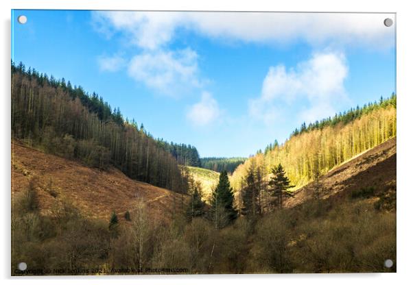 Forested Valley above Clydach Vale Rhondda South W Acrylic by Nick Jenkins