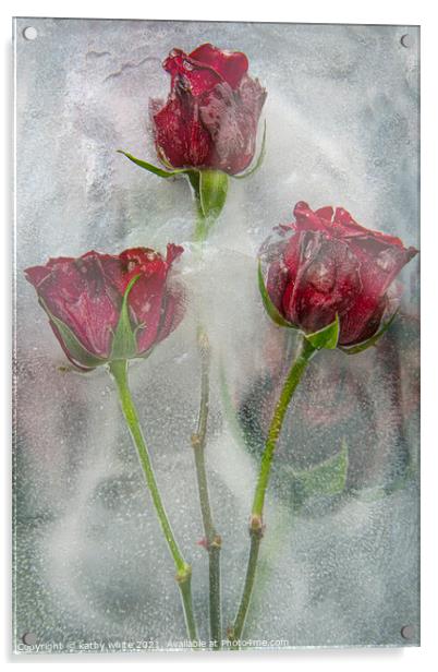 frozen roses water and ice,floral art,garden rose Acrylic by kathy white