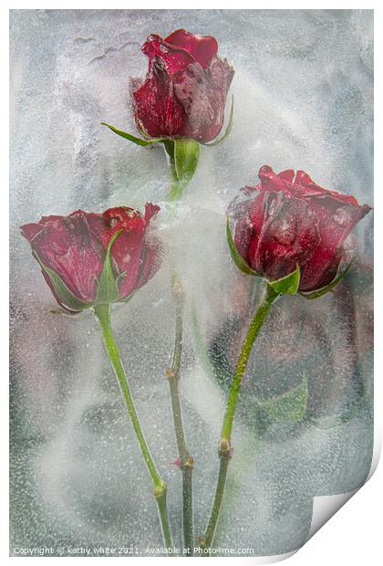 frozen roses water and ice,floral art,garden rose Print by kathy white