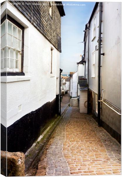 A Glimpse of The Lighthouse St Ives Canvas Print by Terri Waters