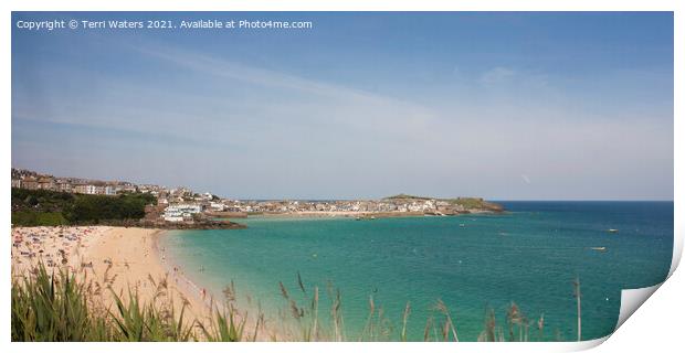 St Ives From The Train Print by Terri Waters