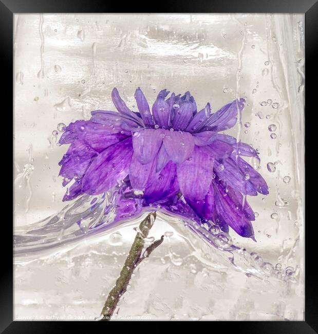 Flowers water and ice in frozen water purple Framed Print by kathy white