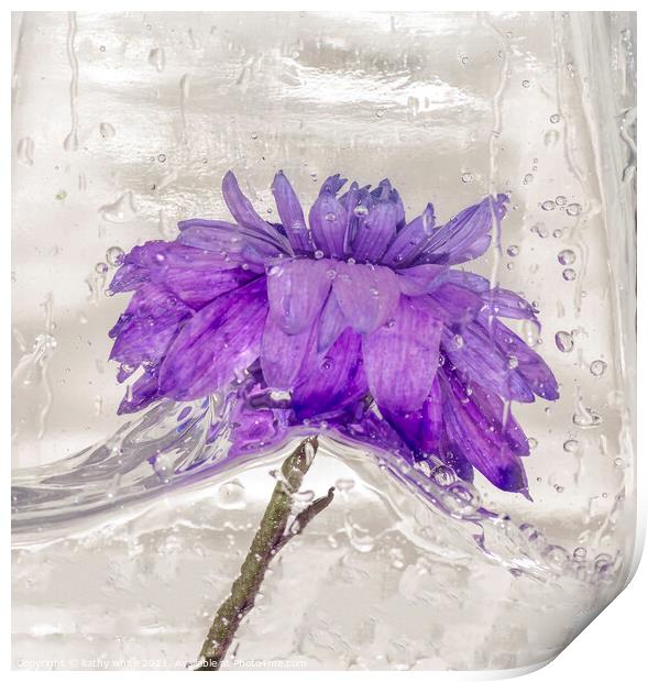 Flowers water and ice in frozen water purple Print by kathy white