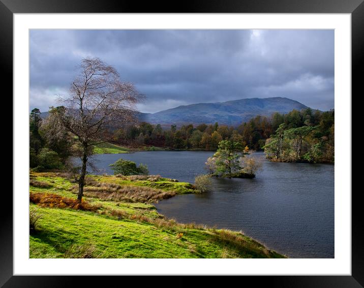 Moody Tarn Hows. Framed Mounted Print by David Hall